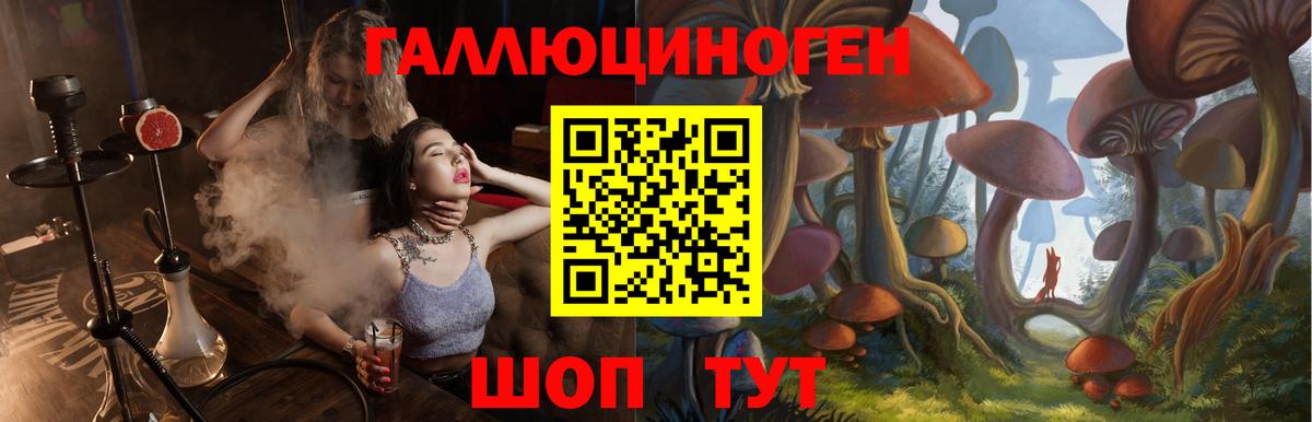Галлюциногенные грибы прущие грибы Белореченск